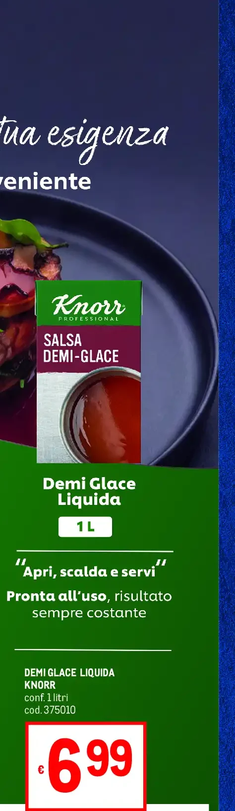 Demi glace liquida