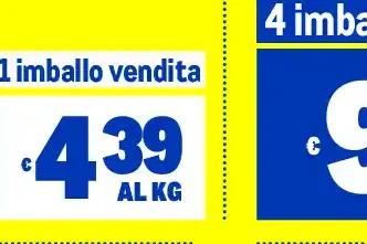 Edamer maxi fetta