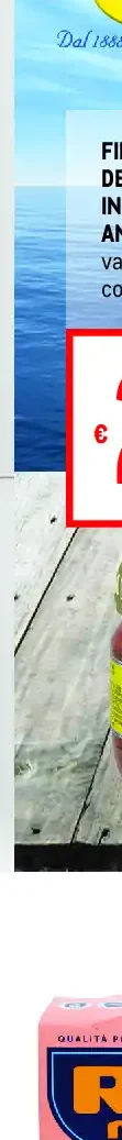 Filetti di alici del Cantabrico in olio oliva Angelo Parodi