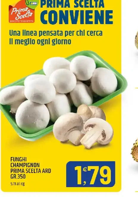funghi champignon