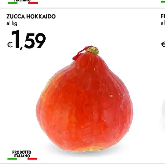 Zucca Hokkaido