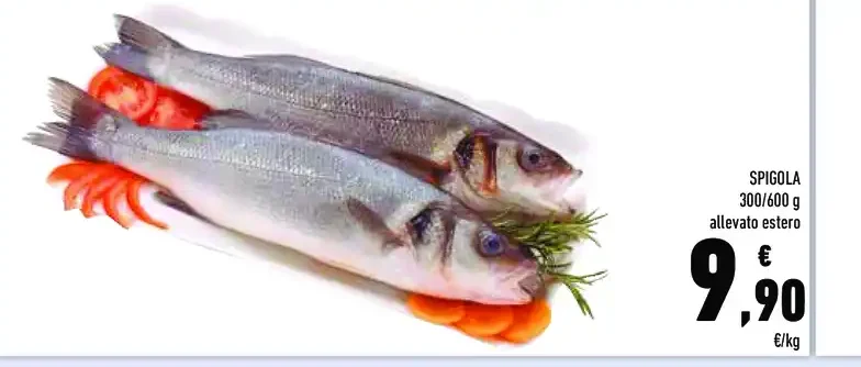 Spigola