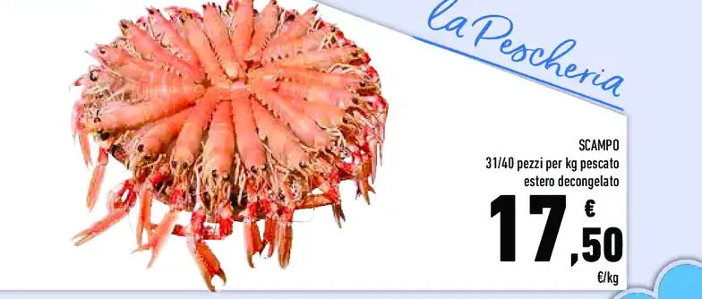 Scampo