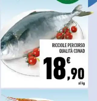 Ricciole