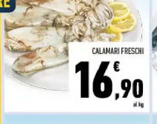 Calamari freschi