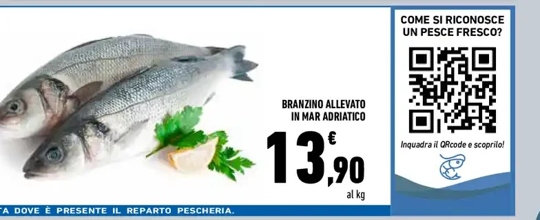 Branzino allevato in mar Adriatico
