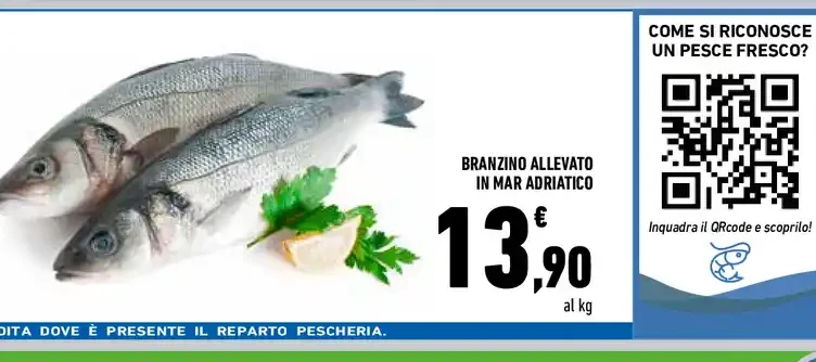 Branzino allevato in Mar Adriatico
