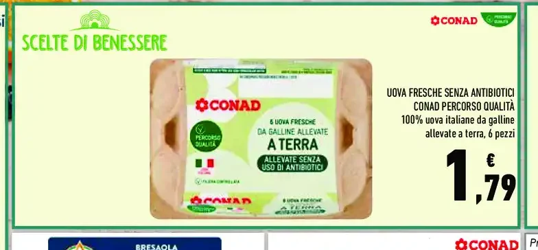 Uova fresche senza antibiotici Conad Percorso Qualità