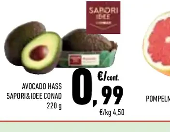 Avocado Hass