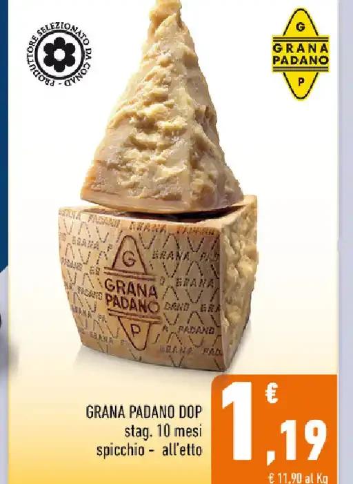 Grana Padano DOP stagionato 10 mesi
