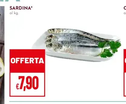 Sardina