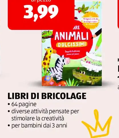 Libri di bricolage