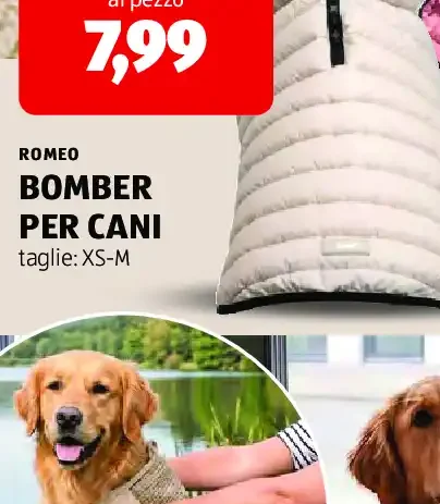 Bomber per cani
