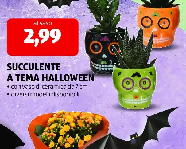 Succulente a tema Halloween