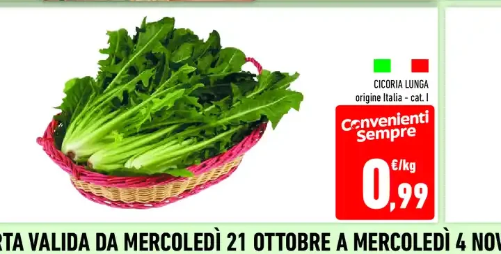 Cicoria catalogna