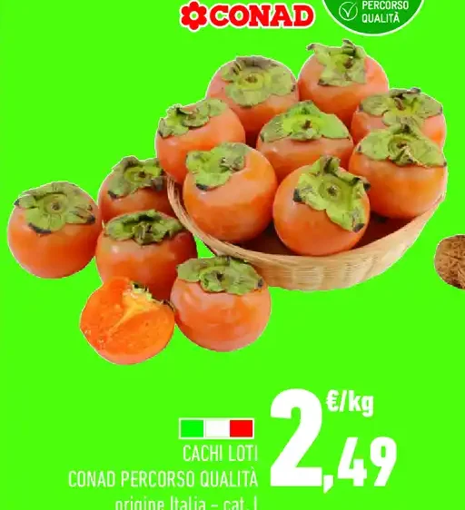 Cachi Loti