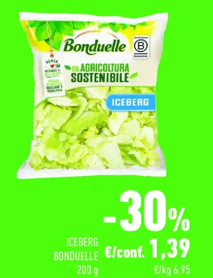 Iceberg Bonduelle