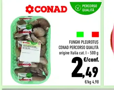 Funghi pleurotus