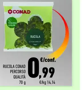 Rucola
