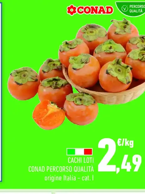 Cachi Loti