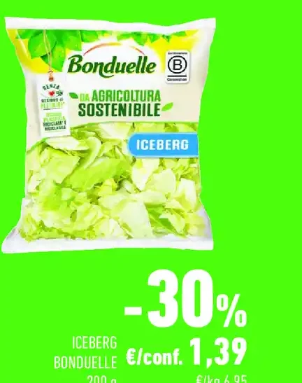Iceberg