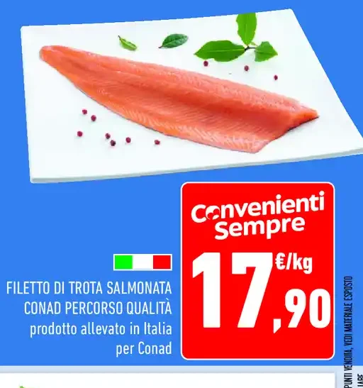 Filetto di trota salmonata