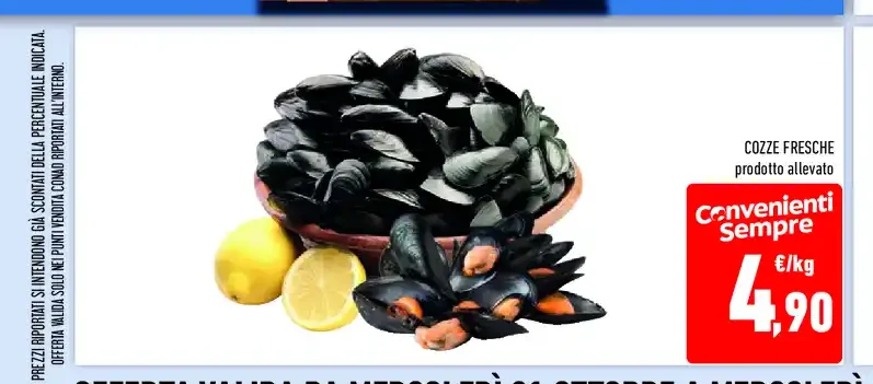 Cozze fresche