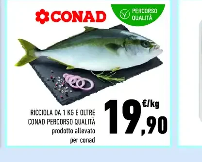 Ricciola da 1 kg e oltre Conad Percorso Qualità
