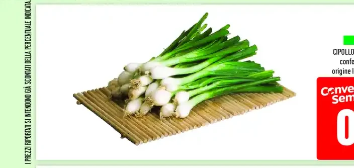 Cipollotto bianco