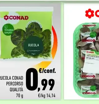 Rucola
