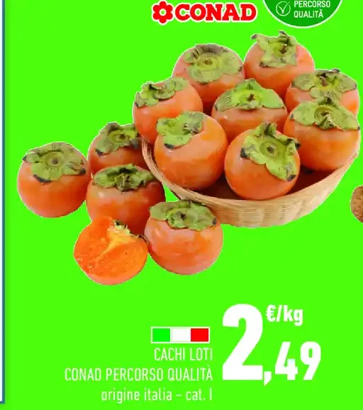 Cachi Loti