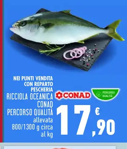 Ricciola oceanica Conad Percorso Qualità