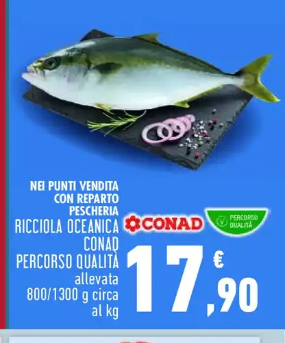 Ricciola oceanica