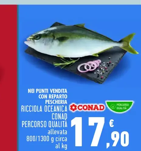 Ricciola oceanica