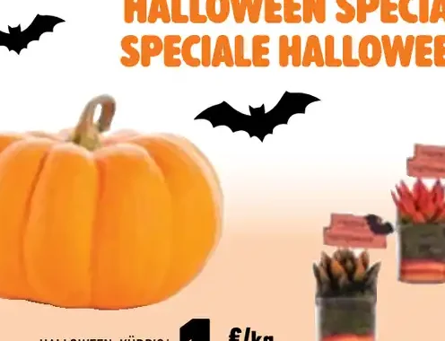 Zucca Halloween