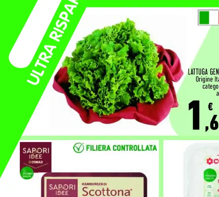 Lattuga gentile