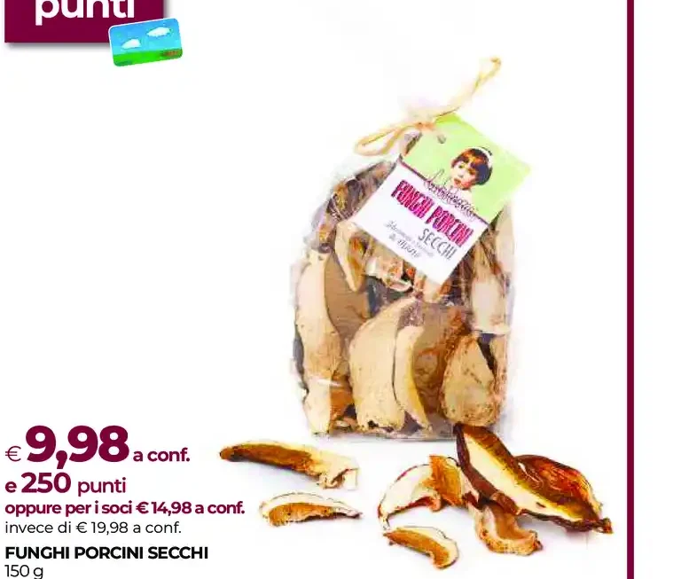Funghi porcini secchi