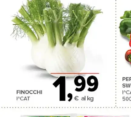 Finocchi