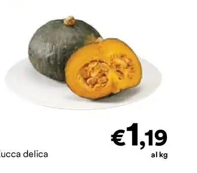 Zucca delica