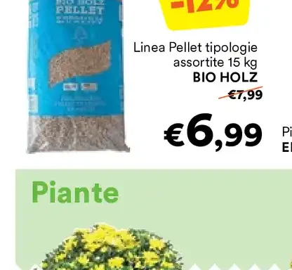 Pellet Bio Holz