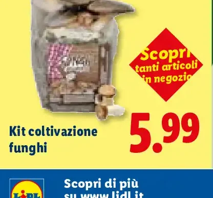Kit coltivazione funghi