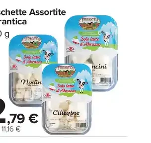 Vaschette Assortite Terrantica