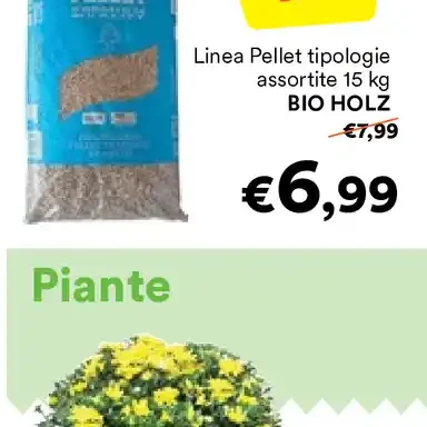 Pellet