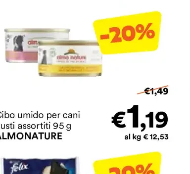 Cibo umido per cani
