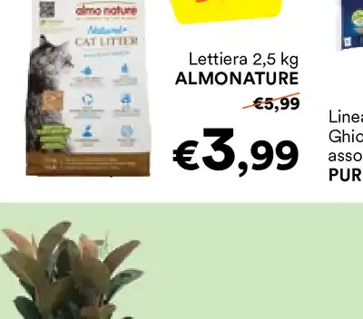 Lettiera per gatti
