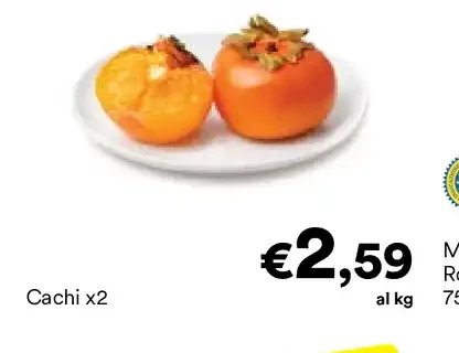 Cachi