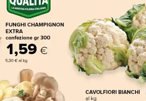 Funghi champignon extra