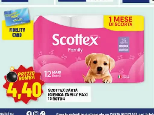 Scottex carta igienica Family Maxi