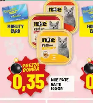 Noè pate gatti
