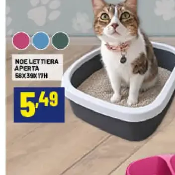 Noè lettiera aperta